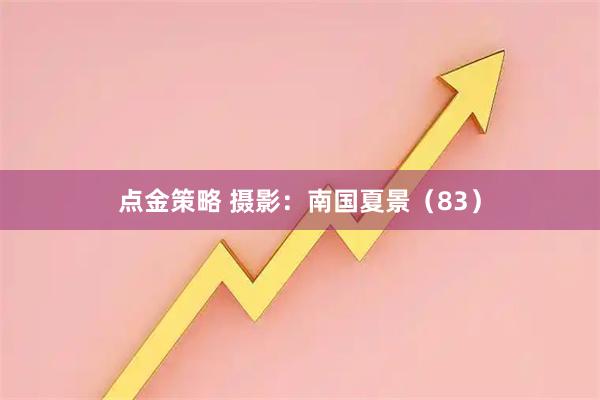 点金策略 摄影：南国夏景（83）