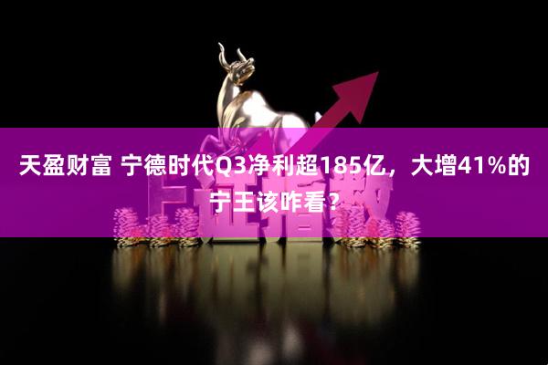 天盈财富 宁德时代Q3净利超185亿，大增41%的宁王该咋看？