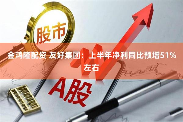 金鸿隆配资 友好集团：上半年净利同比预增51%左右