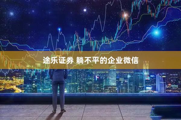 途乐证券 躺不平的企业微信